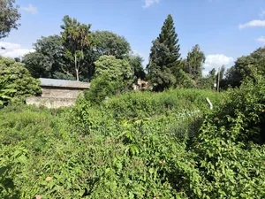 Quarter Acre Plot in Ngong Along Kerarapon Drive Near Tarmac