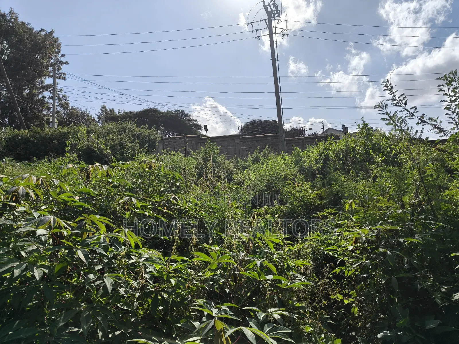 Quarter Acre Plot in Ngong Along Kerarapon Drive Near Tarmac