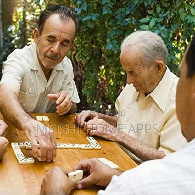 Dominoes Game - thumbnail 3