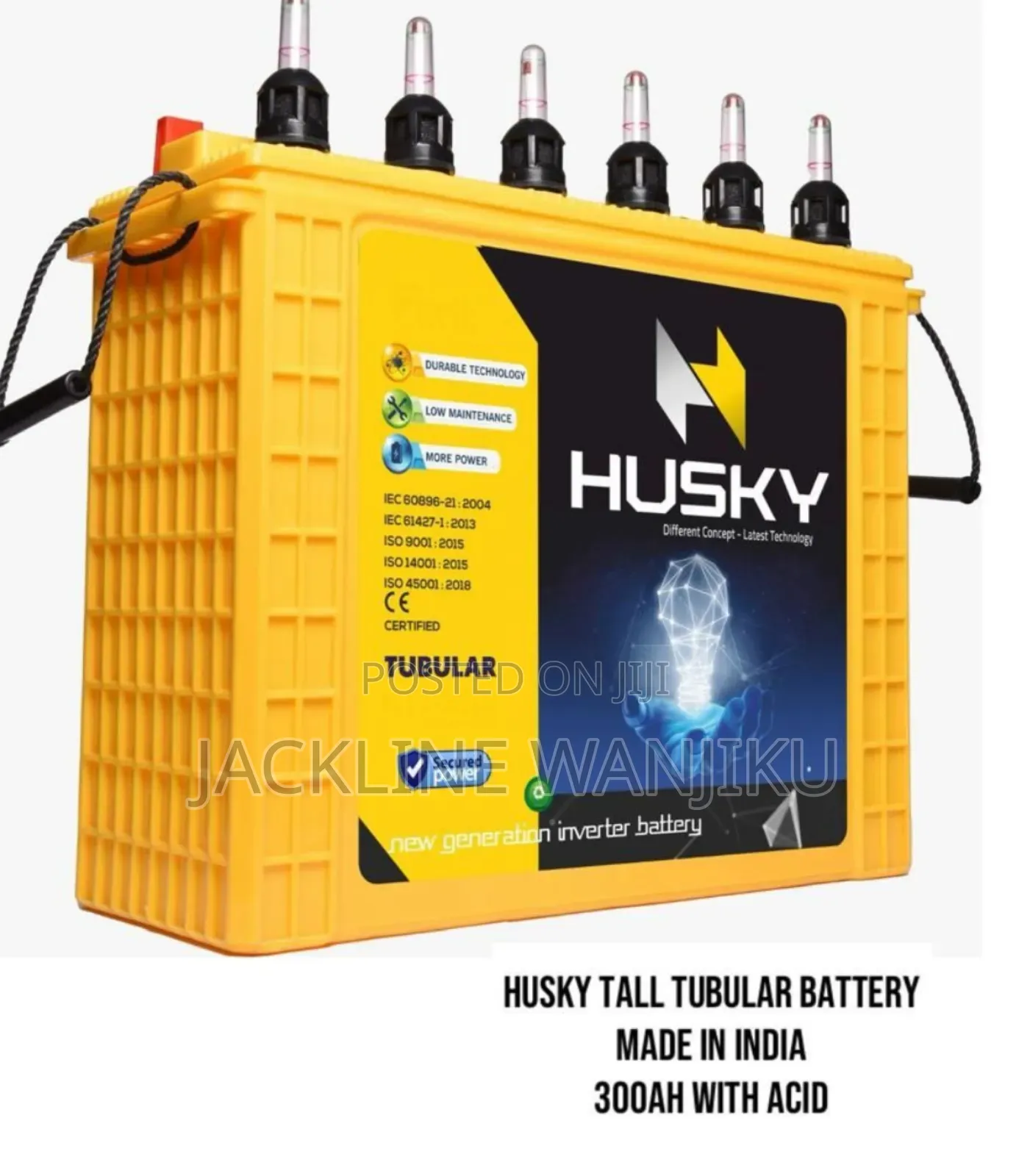300ah Husky Tall Tubular Battery/300ah Tubular Battery