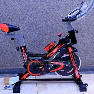 Exercise Spin Bike(Max User Weight 120kg)