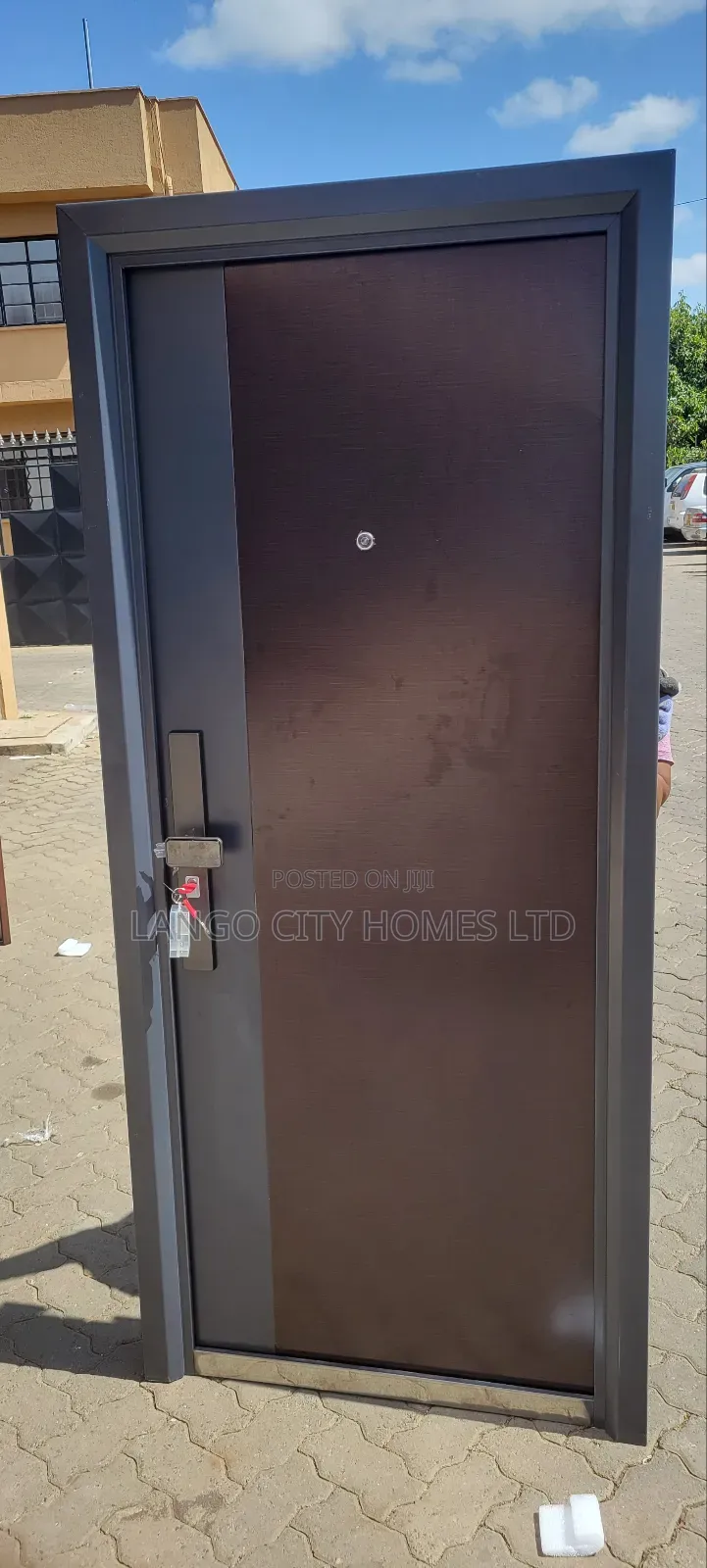 Elegant Modern Single Steel Doors