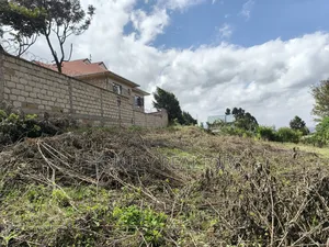 Residential Quarter Acre Plot in Ngong Lemiso Rd Near Tarmac