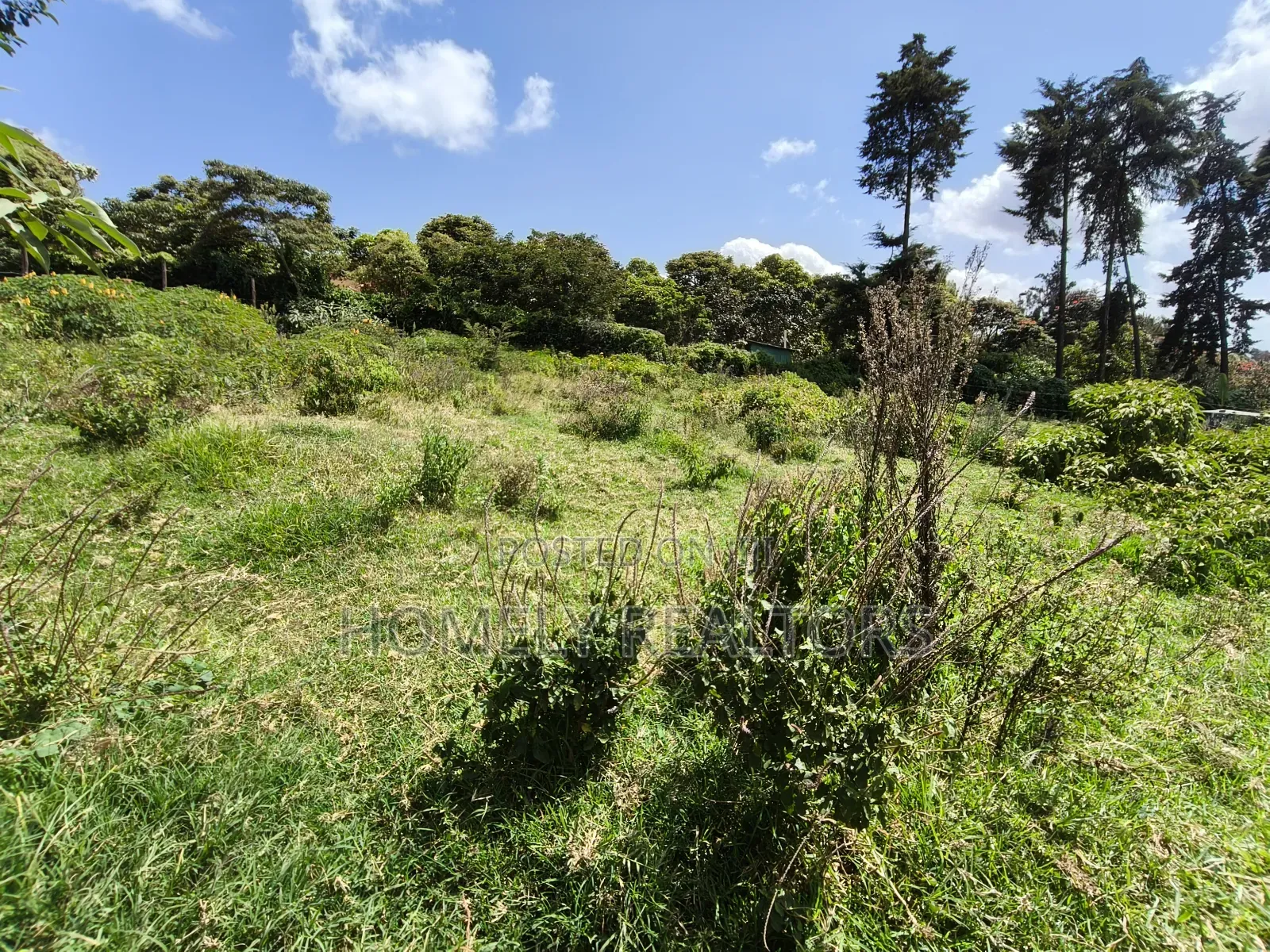Quarter Acre Plot in Ngong, Lemiso Road With Scenic View