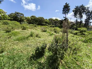 Quarter Acre Plot in Ngong, Lemiso Road With Scenic View