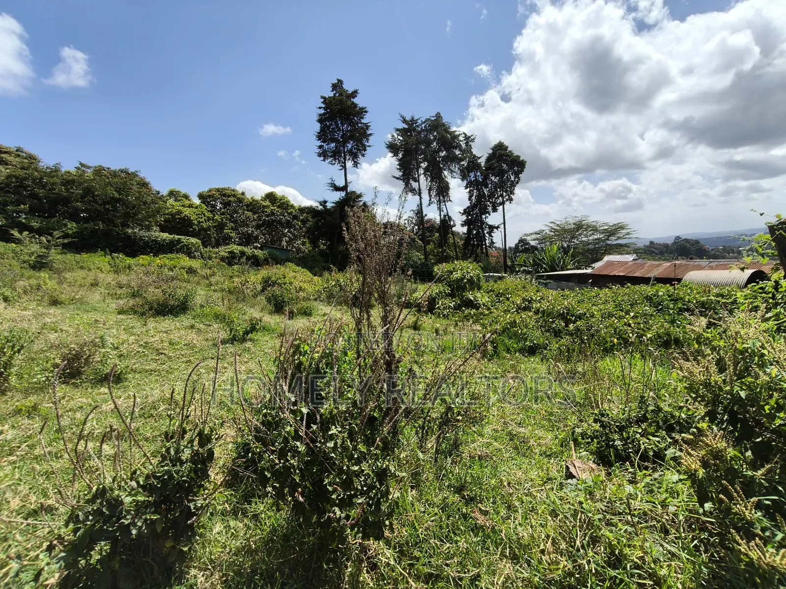 Quarter Acre Plot in Ngong, Lemiso Road With Scenic View