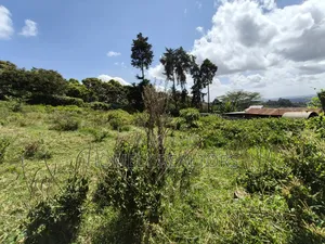 Quarter Acre Plot in Ngong, Lemiso Road With Scenic View