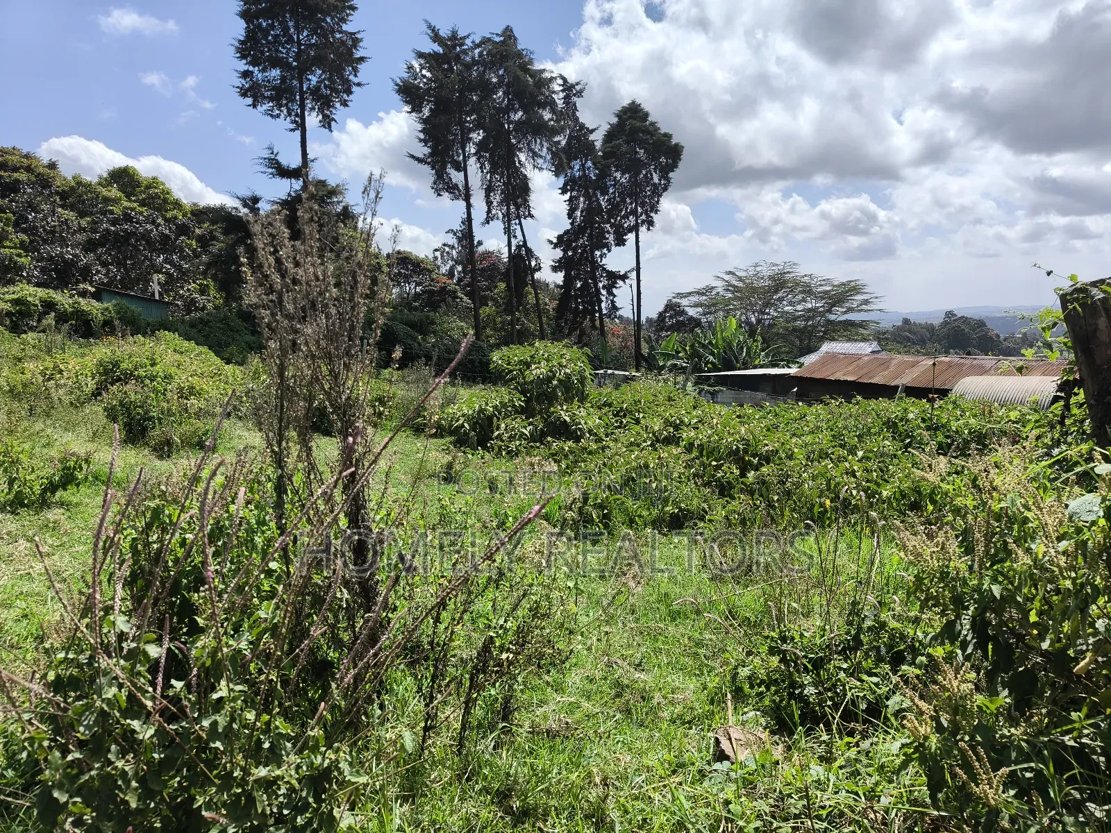 Quarter Acre Plot in Ngong, Lemiso Road With Scenic View