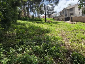 Quarter Acre Plot in Ngong Along Lemiso Road Near Tarmac