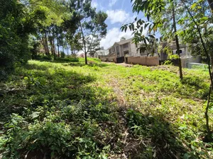 Quarter Acre Plot in Ngong Along Lemiso Road Near Tarmac