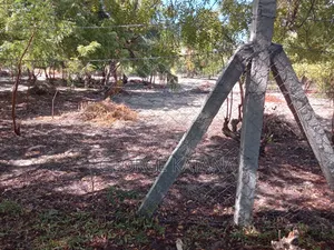 Buy/Sell Beach Plot