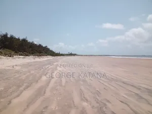 Buy/Sell Beach Plot