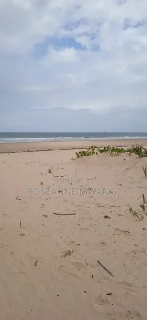 Beach Land