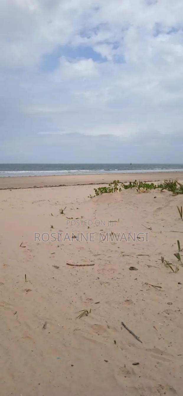 Beach Land - thumbnail 4