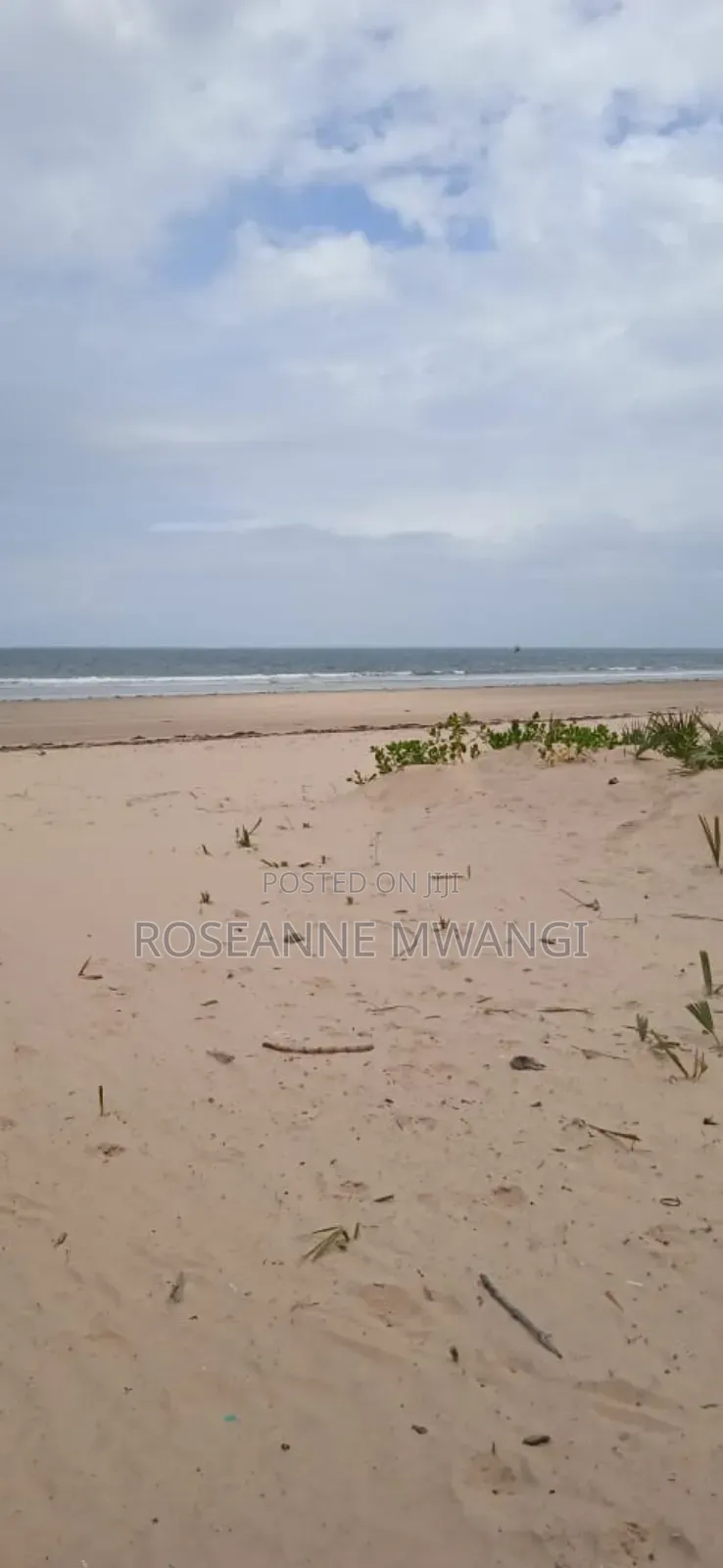 Beach Land