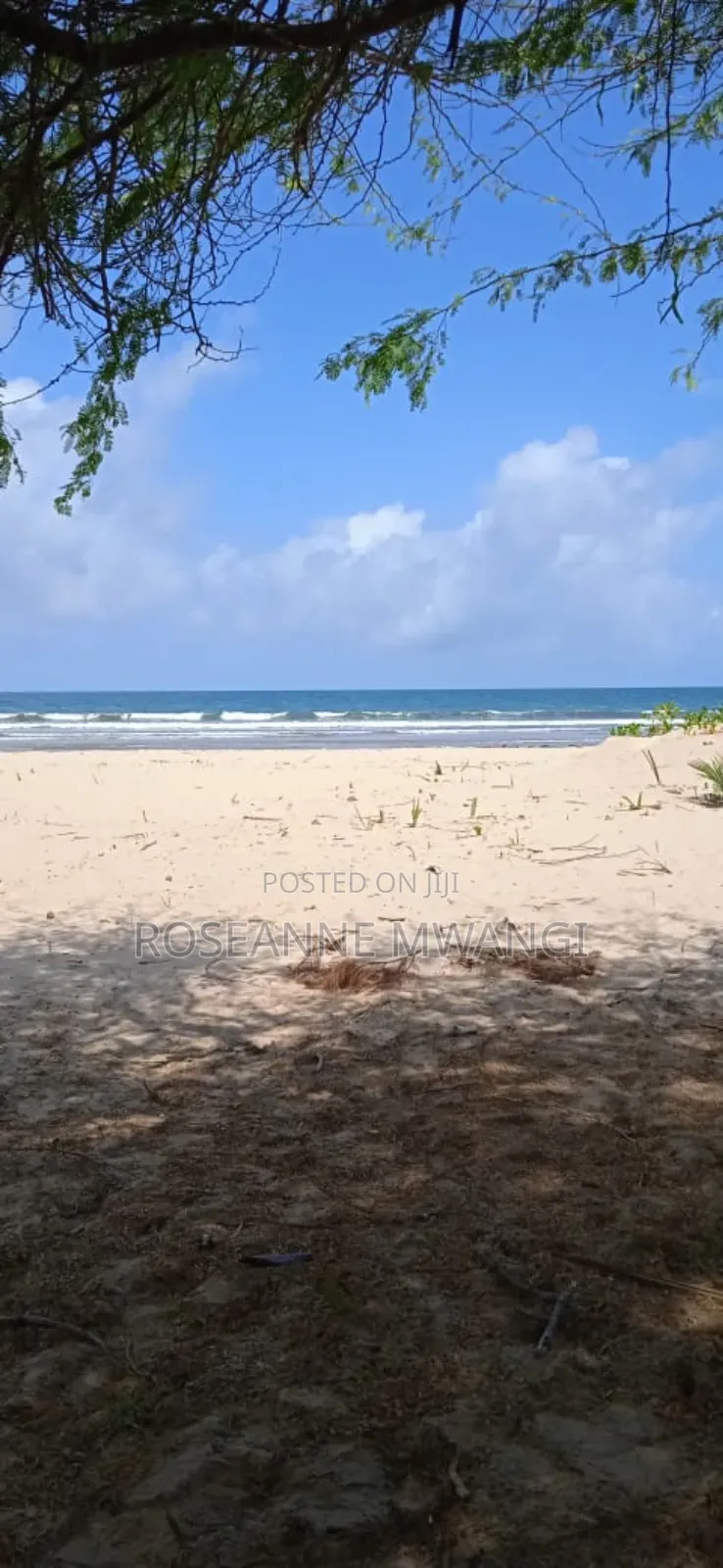 Beach Land