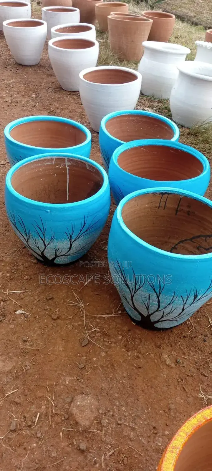 Plant Pots