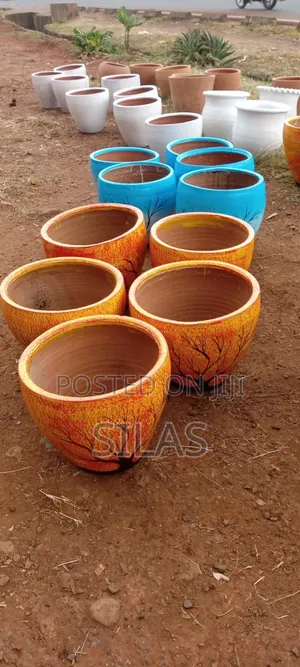 Plant Pots