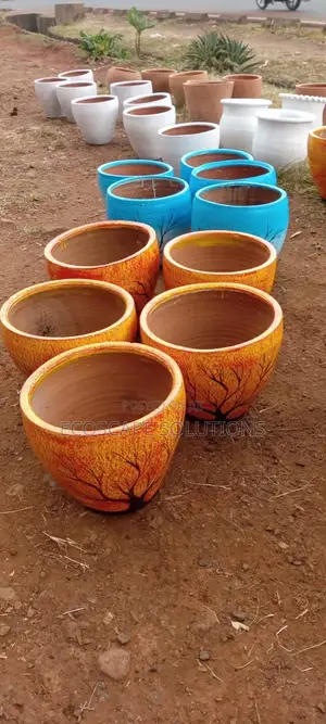 Plant Pots