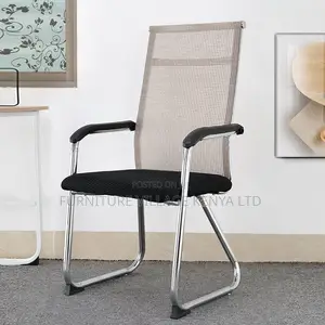 Office Chair: Ergonomic Mesh Chair- Steel Backrest Support
