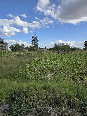 Residential Plot in Kimbo Junction(Catholic)