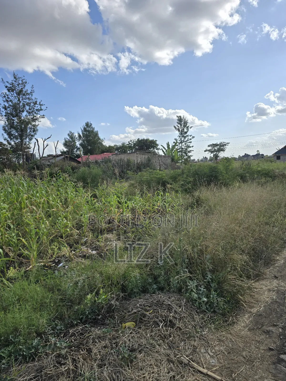 Residential Plot in Kimbo Junction(Catholic)