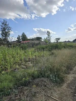 Residential Plot in Kimbo Junction(Catholic)