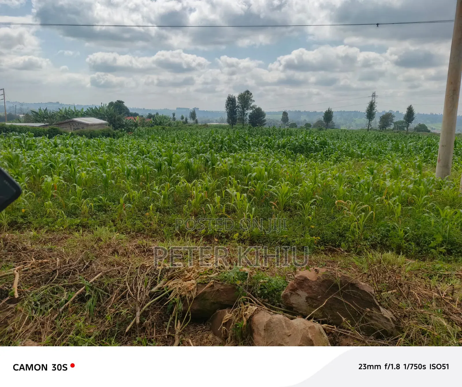 Redhill 1.8ac Near Tropical Heat Company