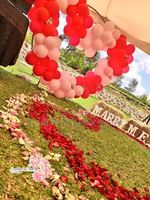 Wedding Engagement/Proposal Decoration Services