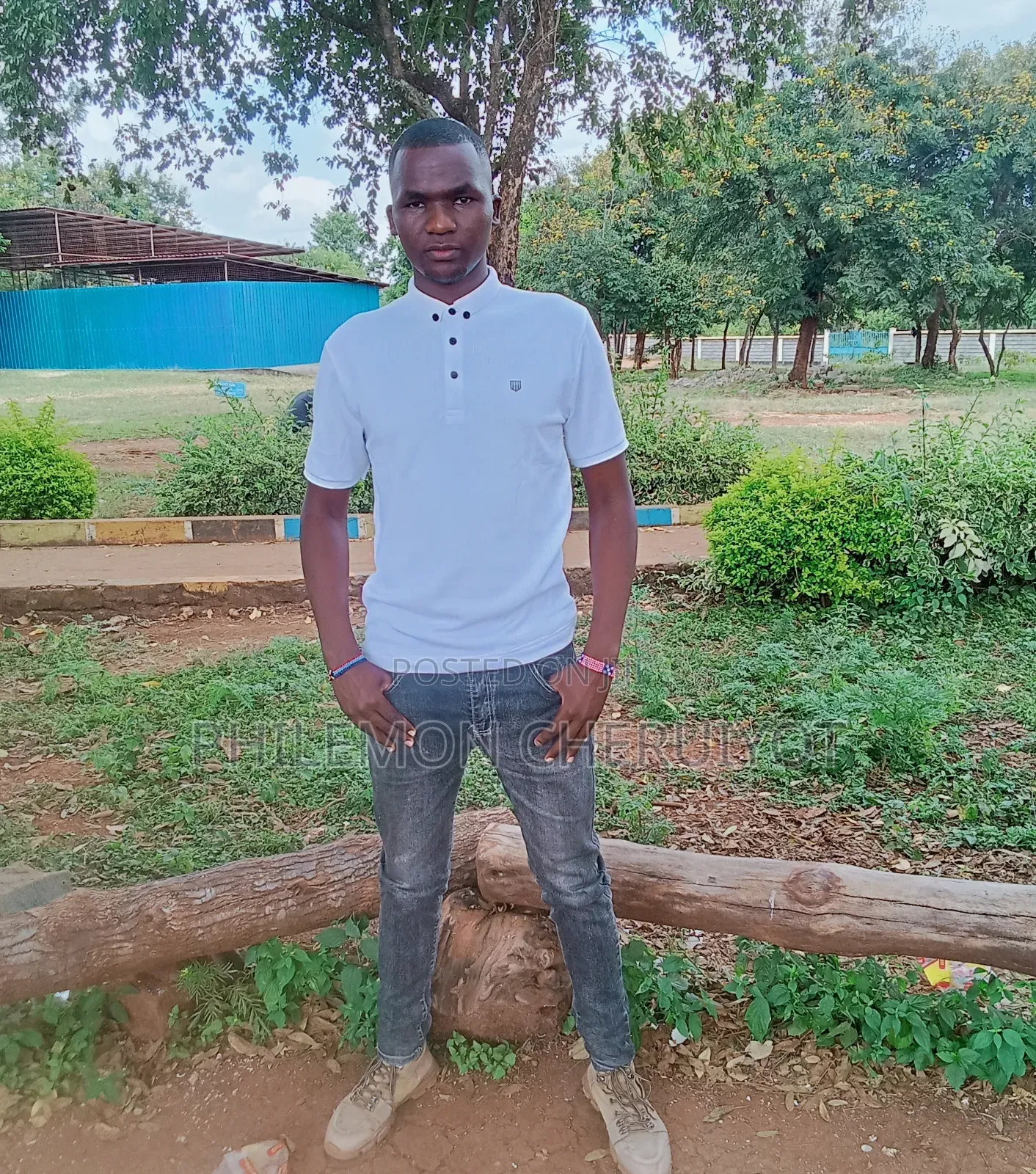 Advertising and Marketing