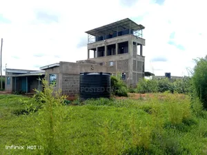 20 Acres of Land