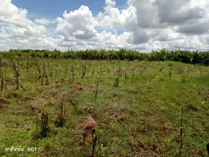 20 Acres of Land
