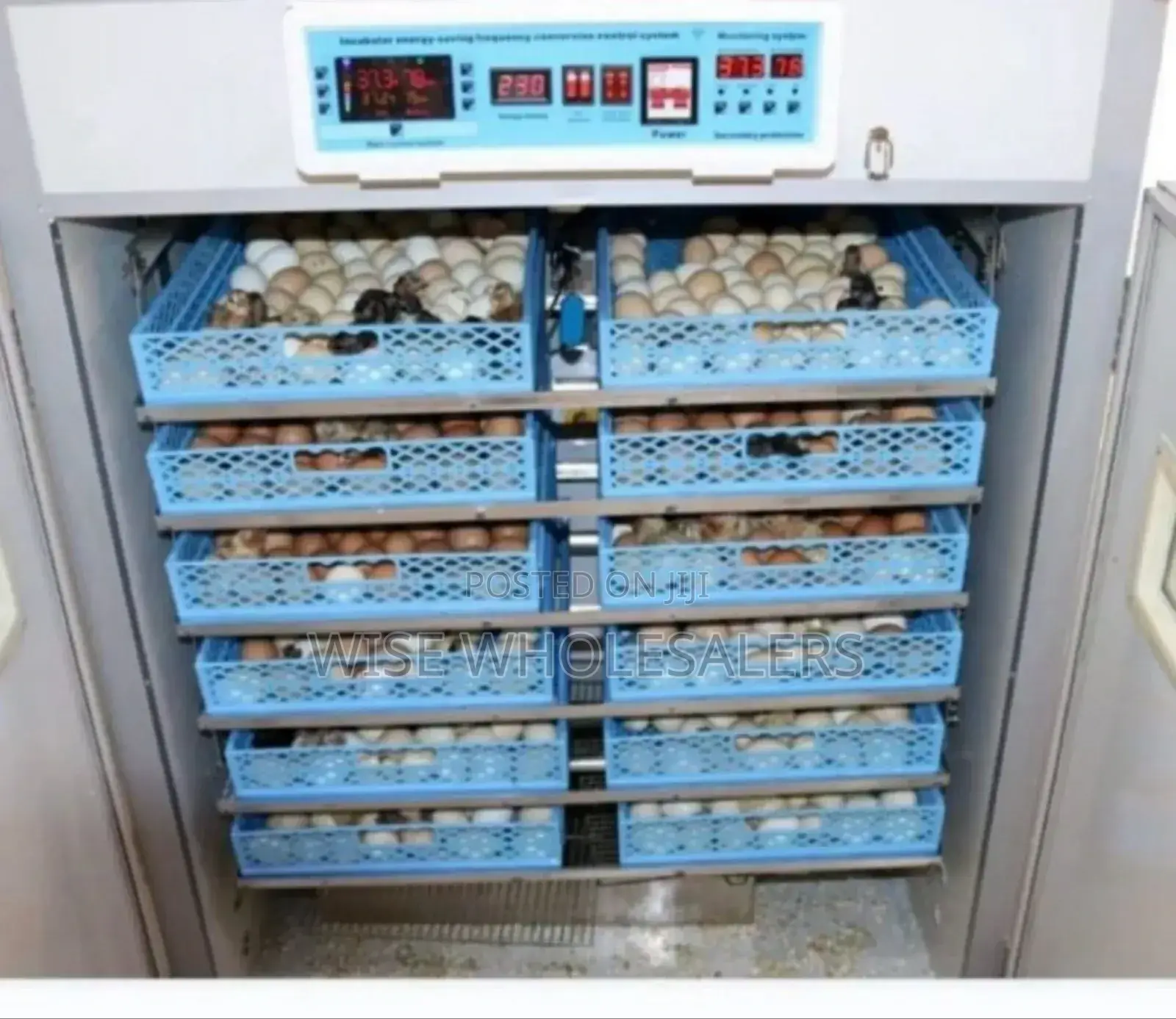 528 Eggs Egg Incubator Available
