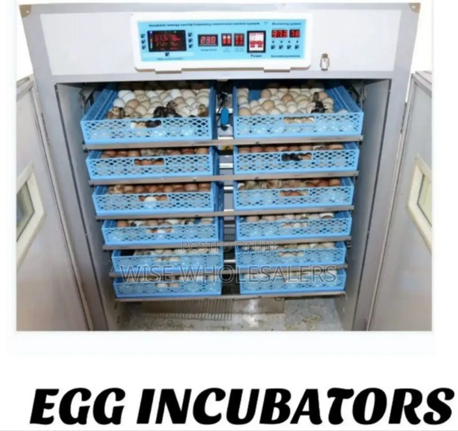2112 Eggs Egg Incubator Available