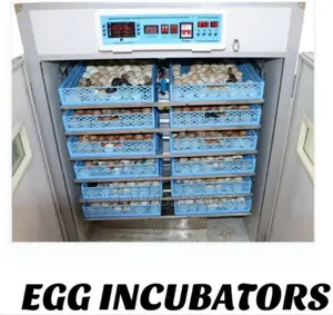 2112 Eggs Egg Incubator Available