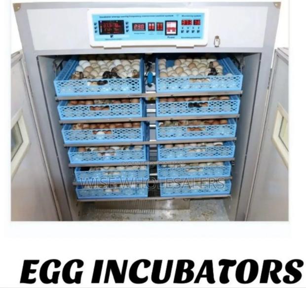 2112 Eggs Egg Incubator Available - main view