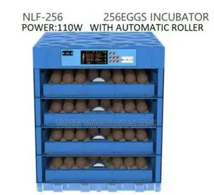 256 Eggs Egg Incubator With Automatic Roller Available