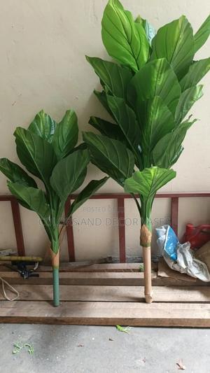 Plants Alone on Offer - thumbnail 2