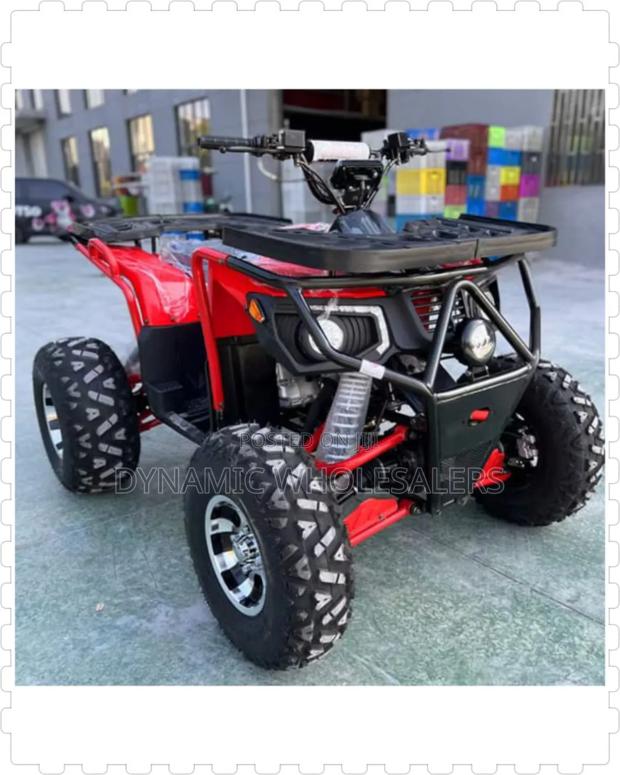 48v Quad Bike - main view