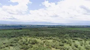 Naivasha 5 and 10acres Within Developed Impala Estate
