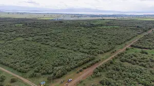 Naivasha 5 and 10acres Within Developed Impala Estate