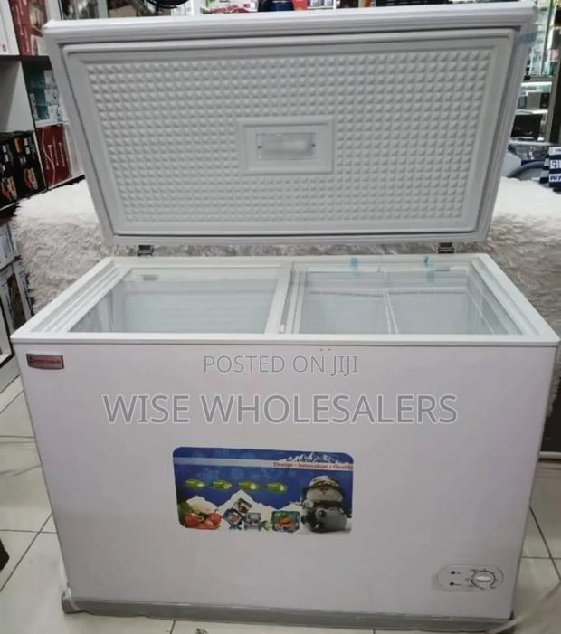 Premier 250l Freezer