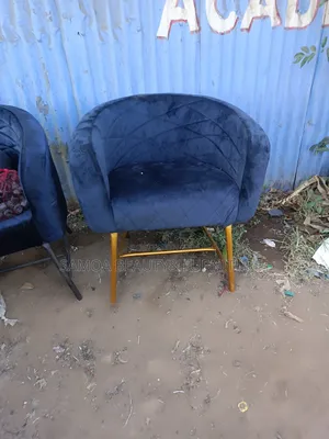 Salon Seat
