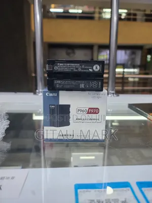 Caisi Np F970 Battery