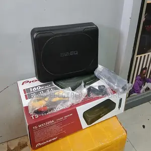 Ts-Wx130da Original Class-D Powered Active Subwoofer
