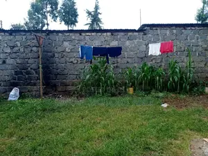 House Rent in Gachie Kiambaa or for Sale