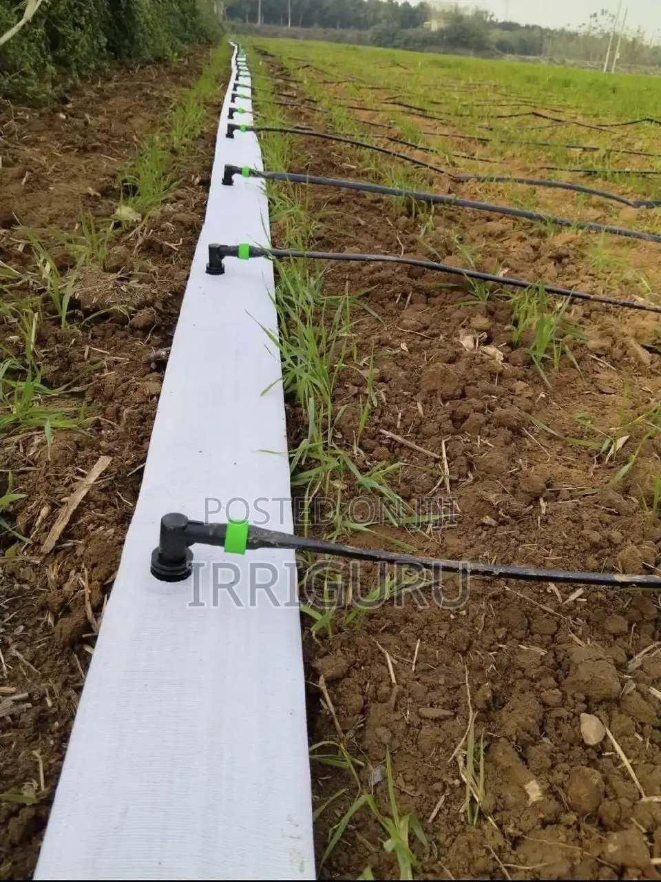 White Layflat Pipe