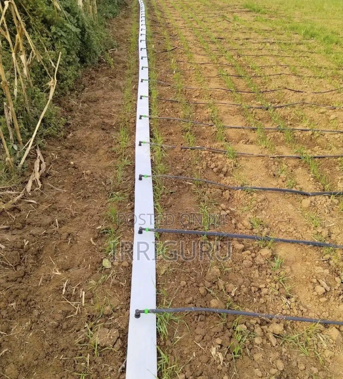 PVC Hose Pipe