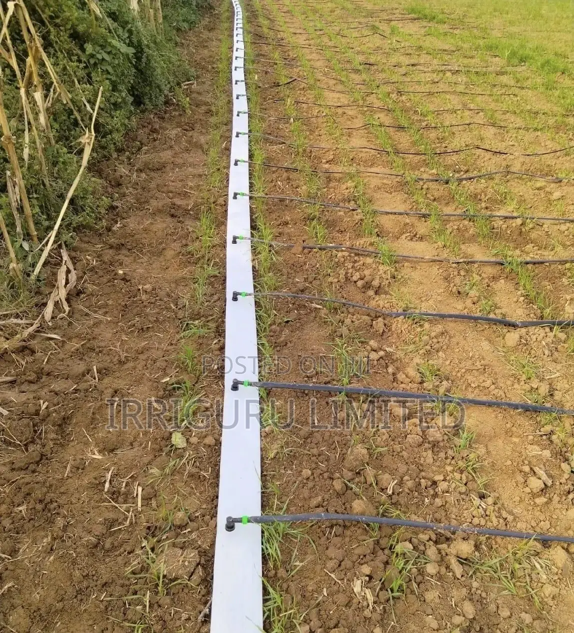 PVC Hose Pipe