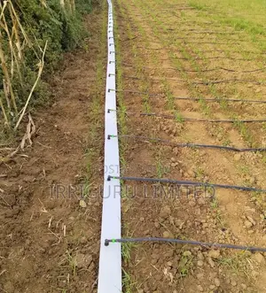 PVC Hose Pipe